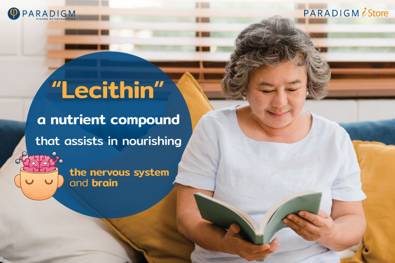 Lecithin, a nutrient compound that assists in nourishing the nervous system and brain