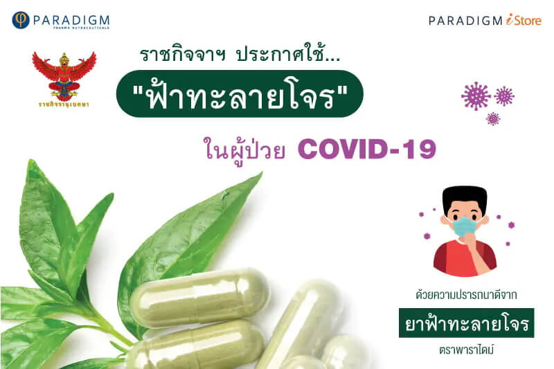 ราชกิจจาฯ ประกาศใช้ “ฟ้าทะลายโจร” ในผู้ป่วย COVID-19