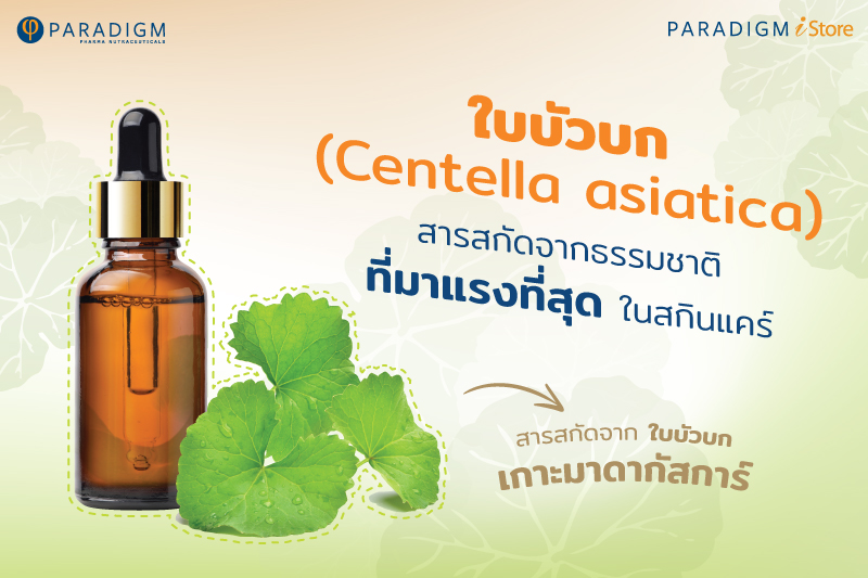 ใบบัวบก (Centella Asiatica) สารสกัดจากธรรมชาติที่มาแรงที่สุดในสกินแคร์