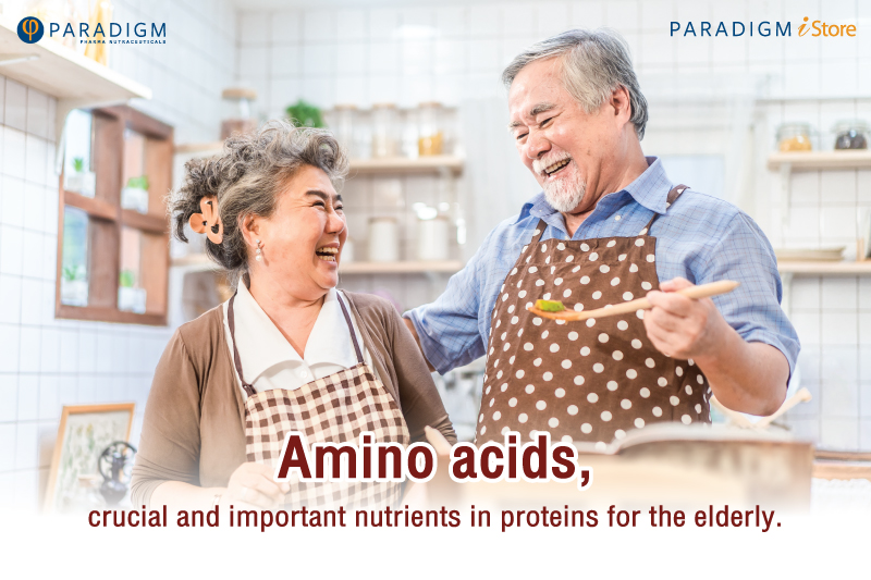 Amino acids, crucial and important nutrients in proteins for the elderly.