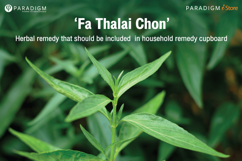 ‘Fa Thalai Chon’ : Herbal remedy that should be included in household remedy cupboard