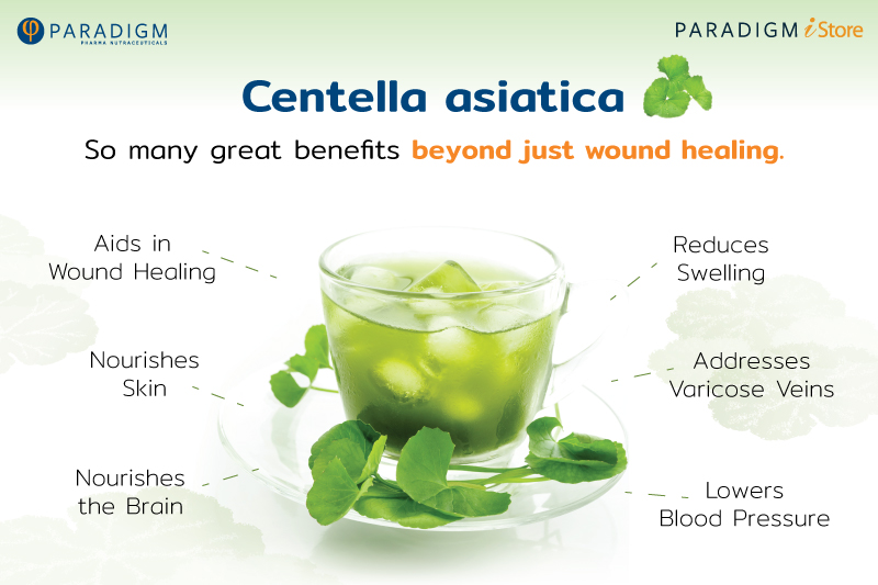 centella-asiatica-so-many-great-benefits