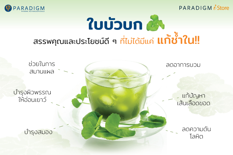 ใบบัวบก (Centella Asiatica) พืชพื้นบ้าน